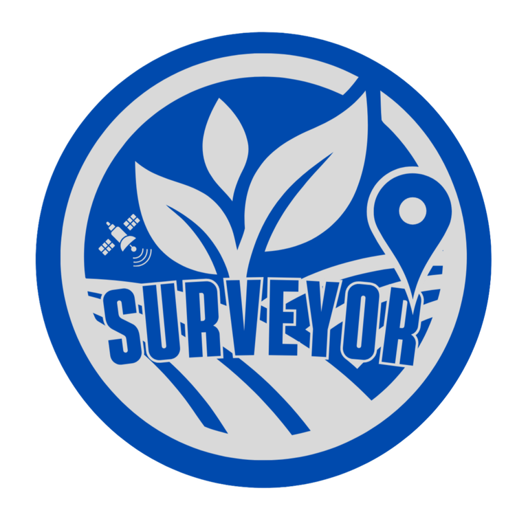 Surveyor
